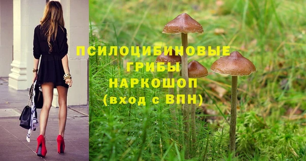 СК Наволоки