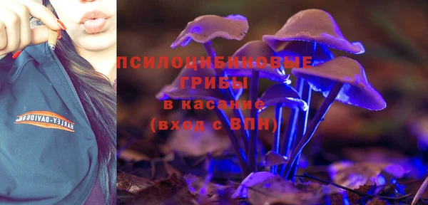твердый Михайловка