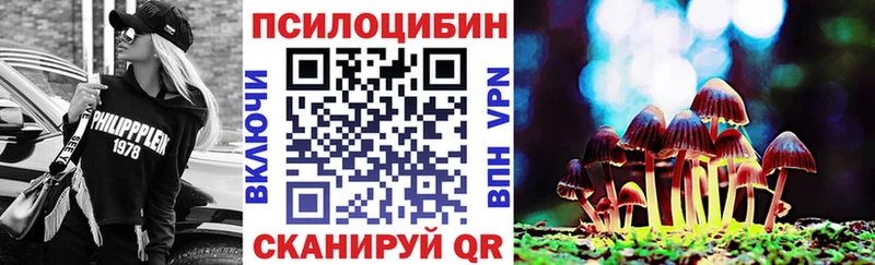 купить наркотики сайты  Химки  маркетплейс Telegram  Псилоцибиновые грибы MAGIC MUSHROOMS 