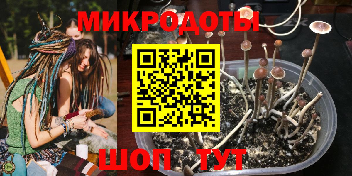 Галлюциногенные грибы мицелий Химки