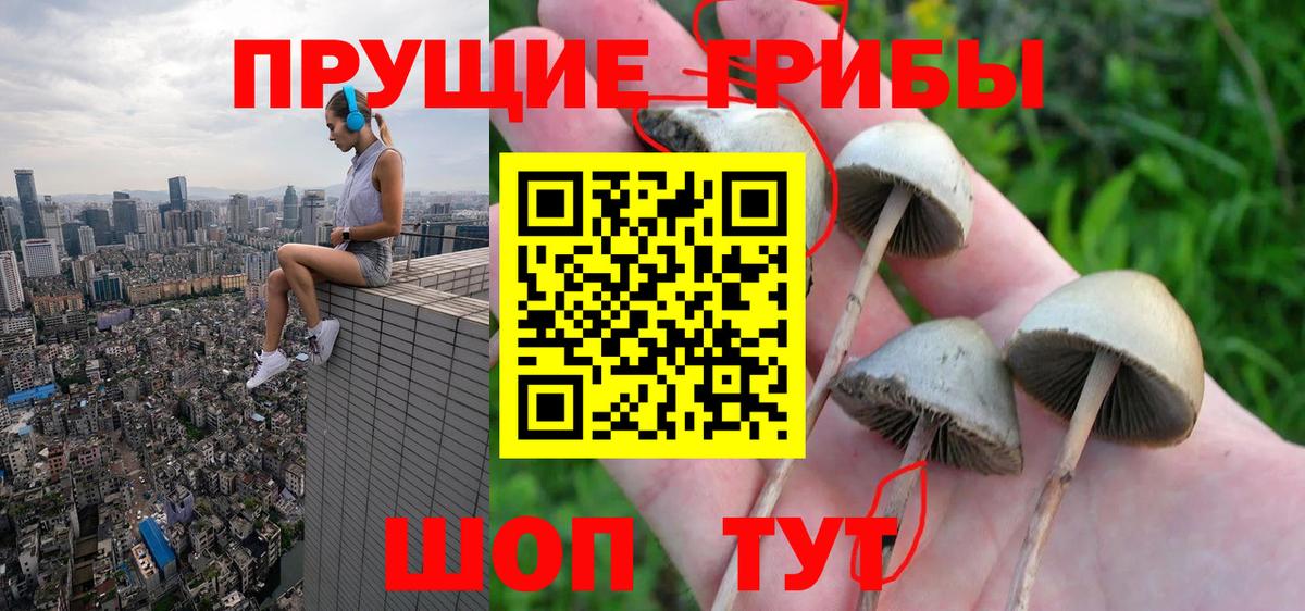 Псилоцибиновые грибы мухоморы  цены   Псилоцибиновые грибы мицелий  Химки 